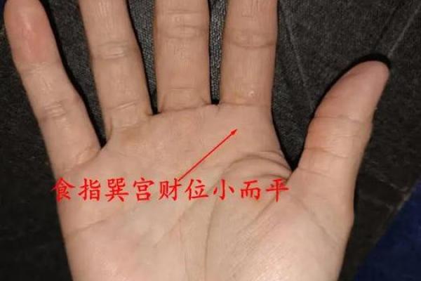 遇难手相大揭秘：如何化险为夷？