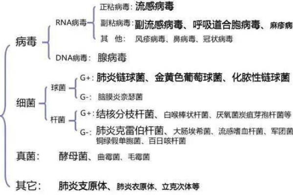 命理视角下的病毒肺炎：破解生克之道！