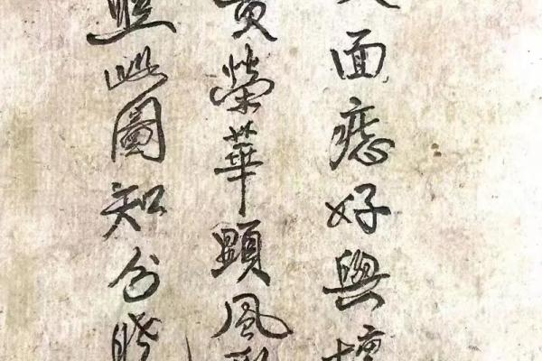 眉眼如画，命运相随——揭秘眉眼相配的神奇面相之谜