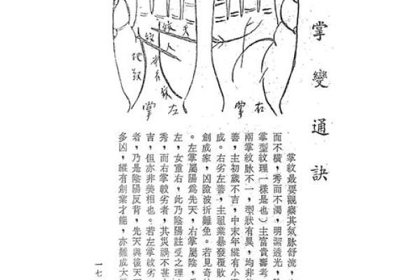 手上藏寿数，一探手相解密长寿秘诀