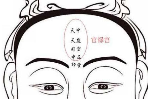 乾坤宫面相：揭秘命运转折的关键面相密码
