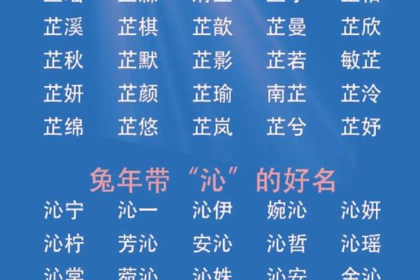 玄起名字的独特寓意与起名技巧