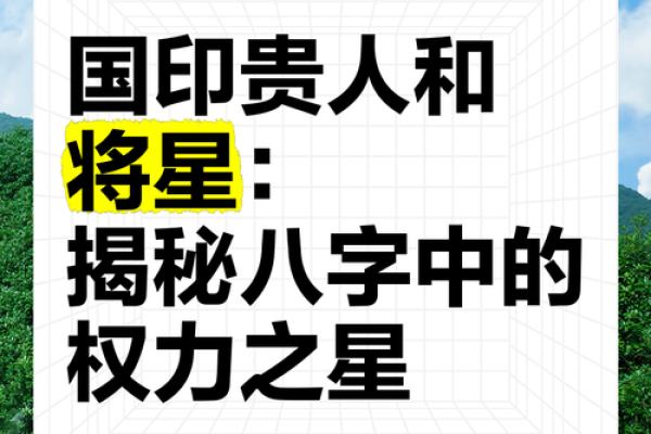 八字命局揭秘：你的命运轨迹，一窥究竟