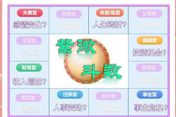 生死面相：洞察生死之谜的神秘面相法则