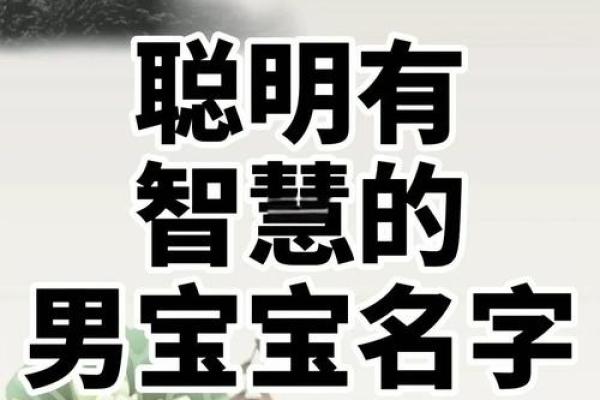 IT男宝宝起名宝典