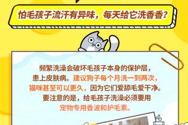 为公司宠物命名时要避免的常见误区