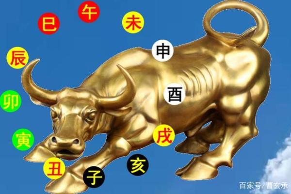 丑牛力量爆发，揭秘生肖中的隐藏巨头