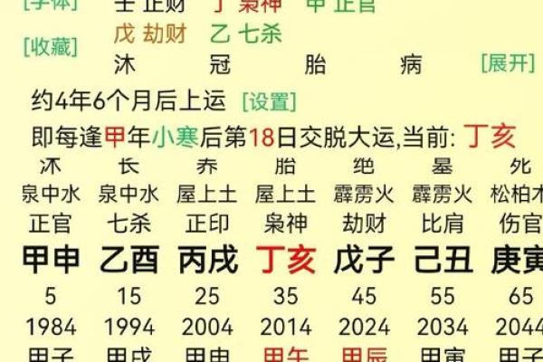 地支财官印解析：解锁人生运势的黄金法则