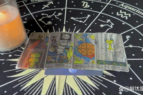 一画一命：24画命理带你领略神秘人生轨迹