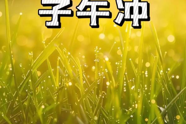 地支冲，运势大逆转揭秘如何化解危机