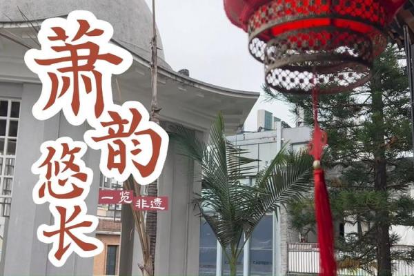 芷韵悠长：名字背后的寓意与情愿