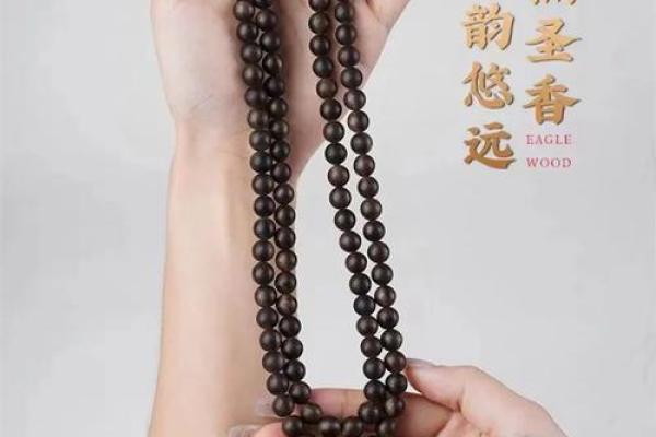 芷韵悠长：名字背后的寓意与情愿