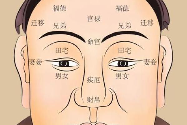 火烧眉毛面相揭秘