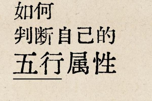 析字五行属性的深度解析