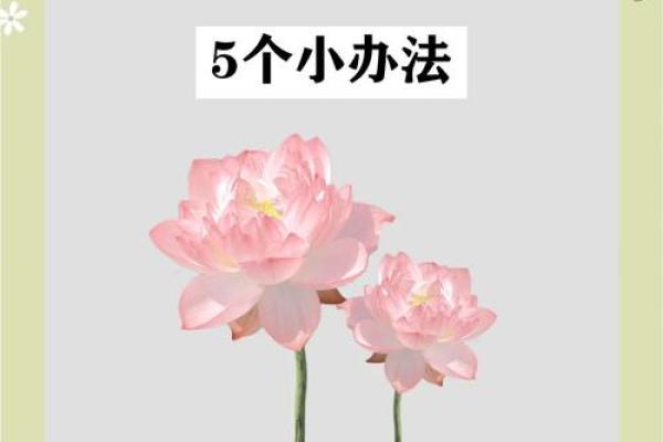 家居风水宝典：揭秘财运、健康、幸福的秘密