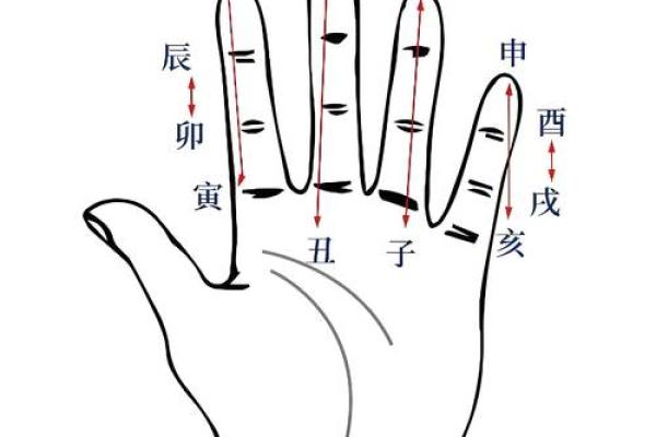 地支之间千丝万缕的关系
