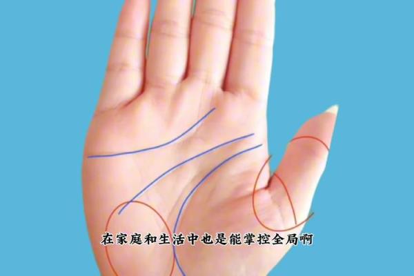 手相揭秘：这几个手相特征暗示运势不佳，速看！