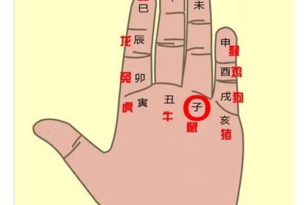 速来一测地支占卜你的命运轨迹