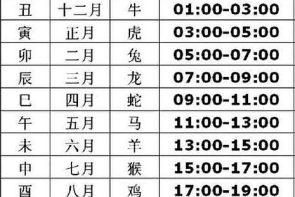 速来一测地支占卜你的命运轨迹