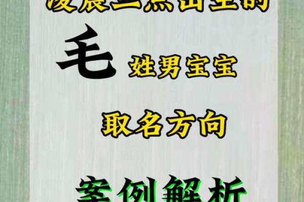 欢庆鸡年，新春鸡宝宝起名精选