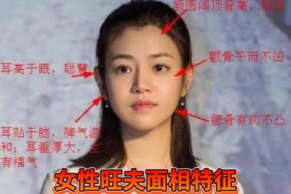 鼻山根丰隆财运亨通