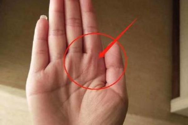 土龙命理大揭秘：揭秘你的运势转折点