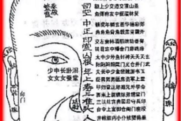 天庭饱满地阁方，人中深长福寿长
