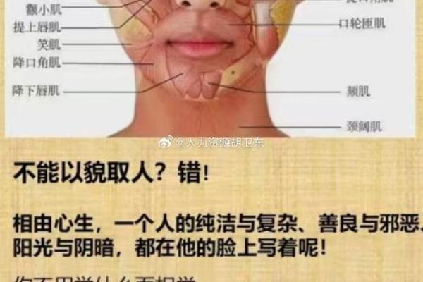 懦弱男子的面相解析：面部特征揭示内心柔弱本质
