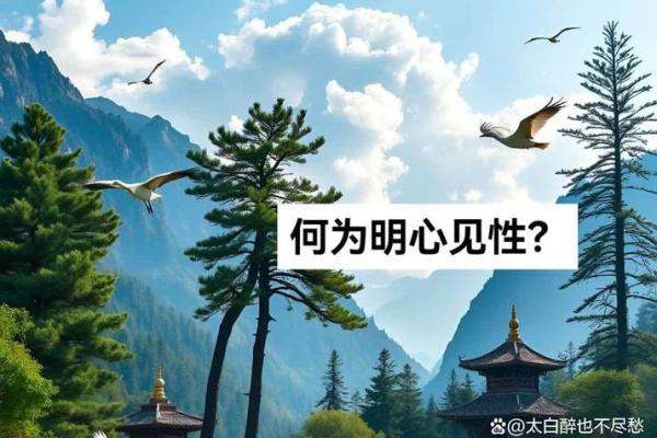 禅宗文化的核心思想与其对传统文化的深远影响