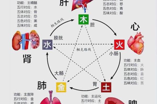 电五行与五行的关系解析