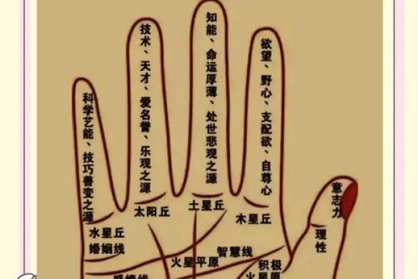 掌中运势，面相大师教你识人术
