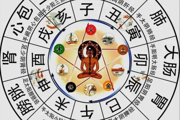 天干地支智慧：揭秘十二地支与人体脏腑的秘密