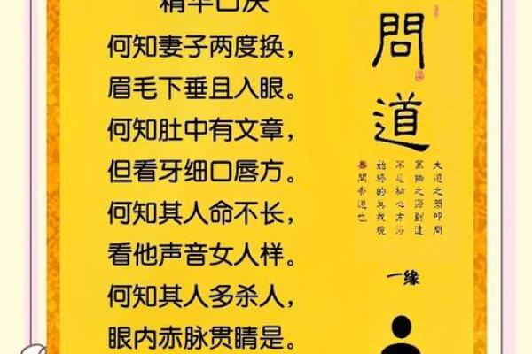 中医算命与风水学在现代生活中的应用