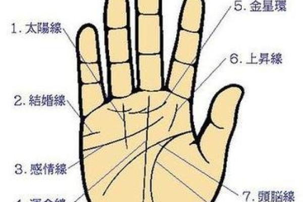 爆款手相图解：断掌的神奇力量，你了解多少？
