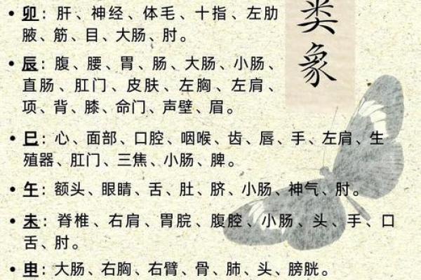 地支入门必看：掌握地支，开启易学新篇章