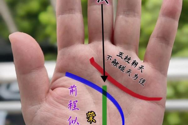 手相秘籍大公开：学会读手，窥探命运的秘密
