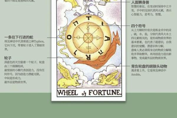 破解命运之谜，教你如何驾驭人生的黄金法则！