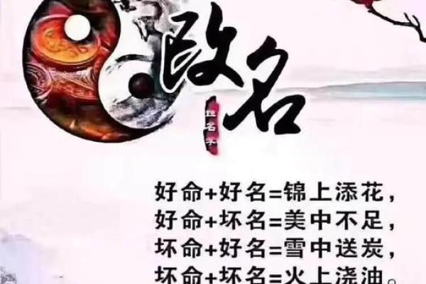 名字的力量：揭秘个性名字的神奇影响