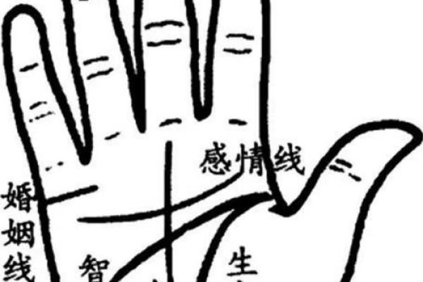 手相探秘：揭开可信度极高的命运密码