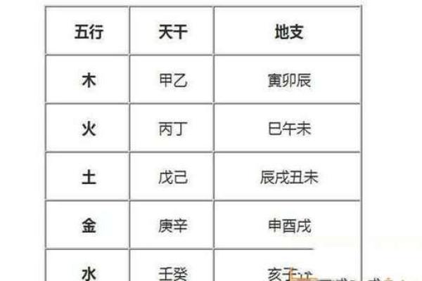 探究地支与五行的关系