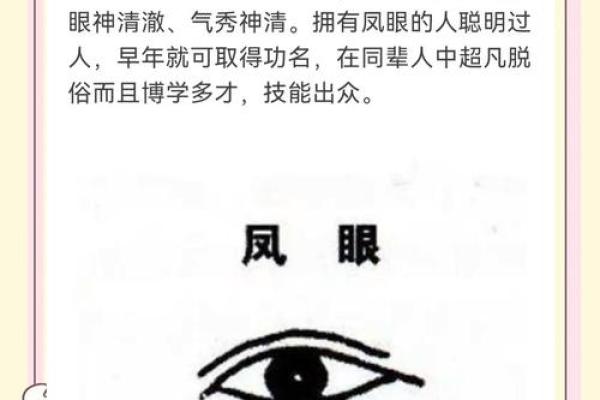 大眼白透露的神秘面相奥秘