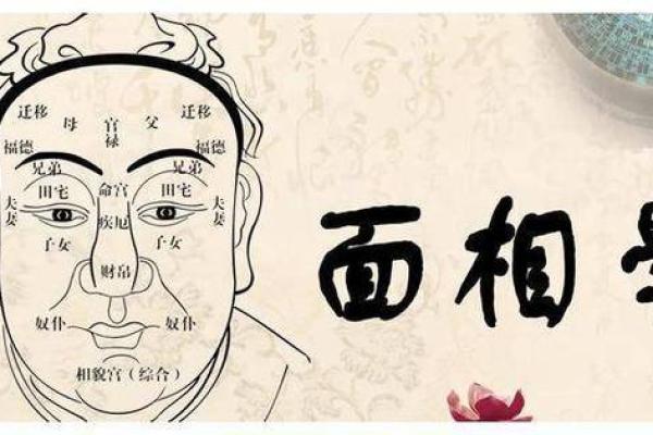 大眼白透露的神秘面相奥秘