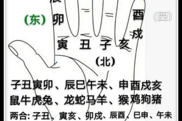 掌握81个命理技巧，助你洞察人生轨迹