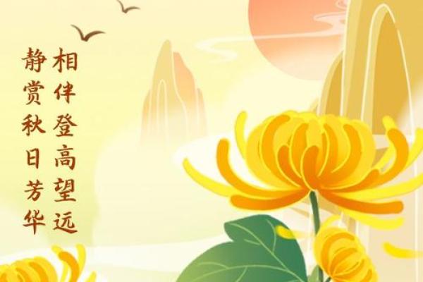 秋风送爽，重阳佳节登高望远