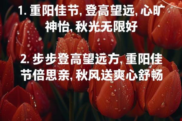 秋风送爽，重阳佳节登高望远