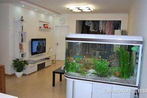 客厅风水鱼缸，招财旺运，家居风水新潮流