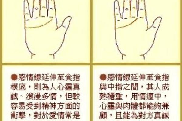 手上纹路透露人生运势，揭秘你的未来！