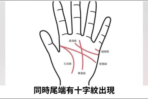 手上纹路透露人生运势，揭秘你的未来！