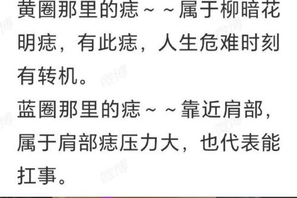 痣相大师亲授：精准解读命运，改变一生的秘术