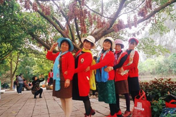 魅力无限：西方节日里的民俗风情大赏